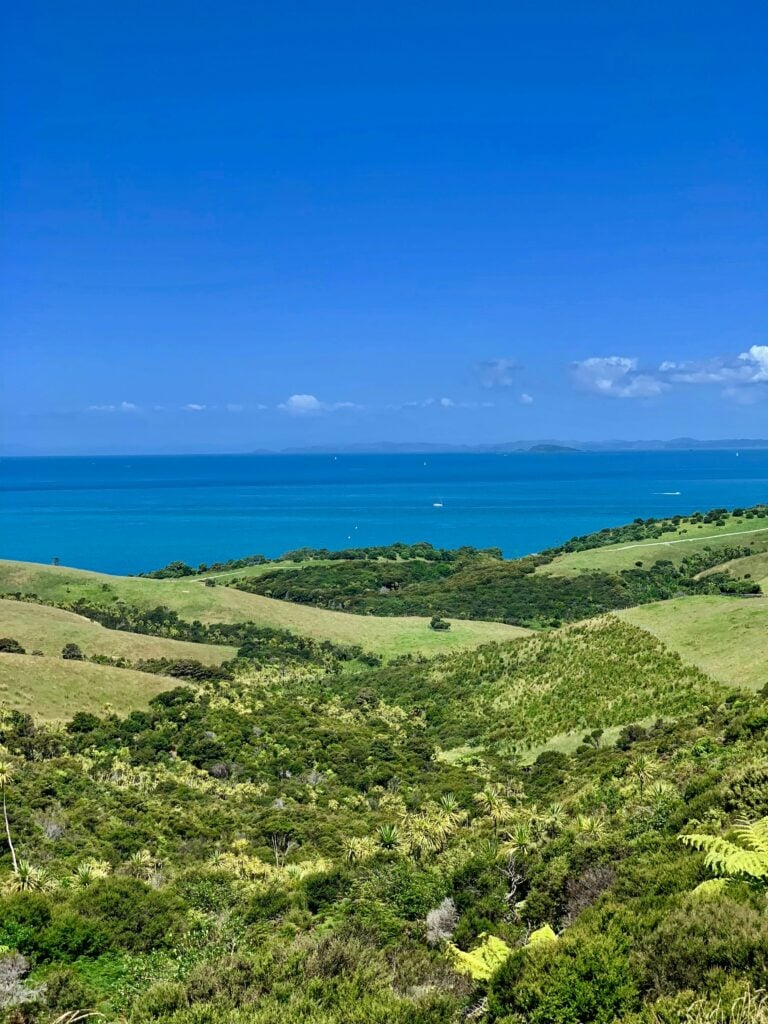 drone shot of land next to water