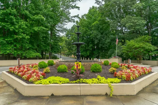 Neighborhood photo 31